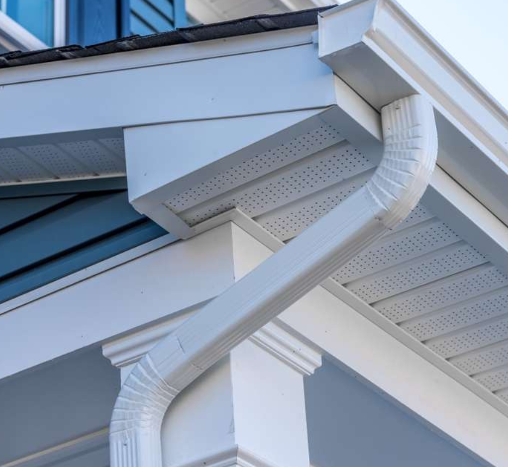 Untitled design – 2026-02-01T162006.766 Untitled design - 2026-02-01T162006.766